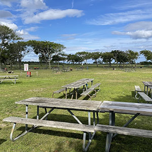 Heckscher State Park