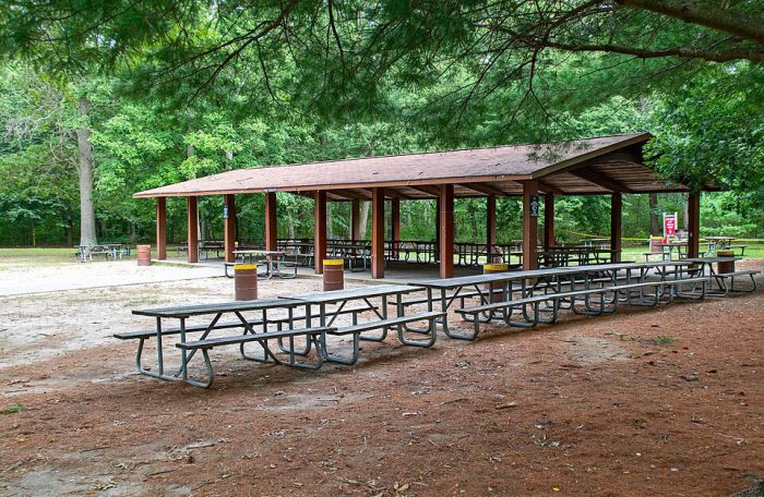 NY State & Suffolk County Parks Events - 1