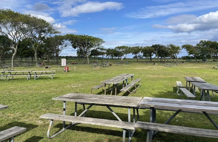 NY State & Suffolk County Parks Events - 2